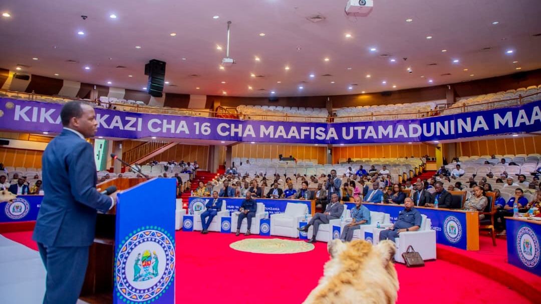 MSIGWA:  WIZARA YA HABARI NDIO MTIMA WA TAIFA